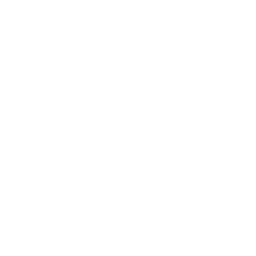 telephone call